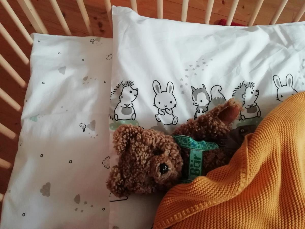 Die Kalsbergerin Ferienwohnung Fuer Geniesser Donnersbachwald Esterno foto