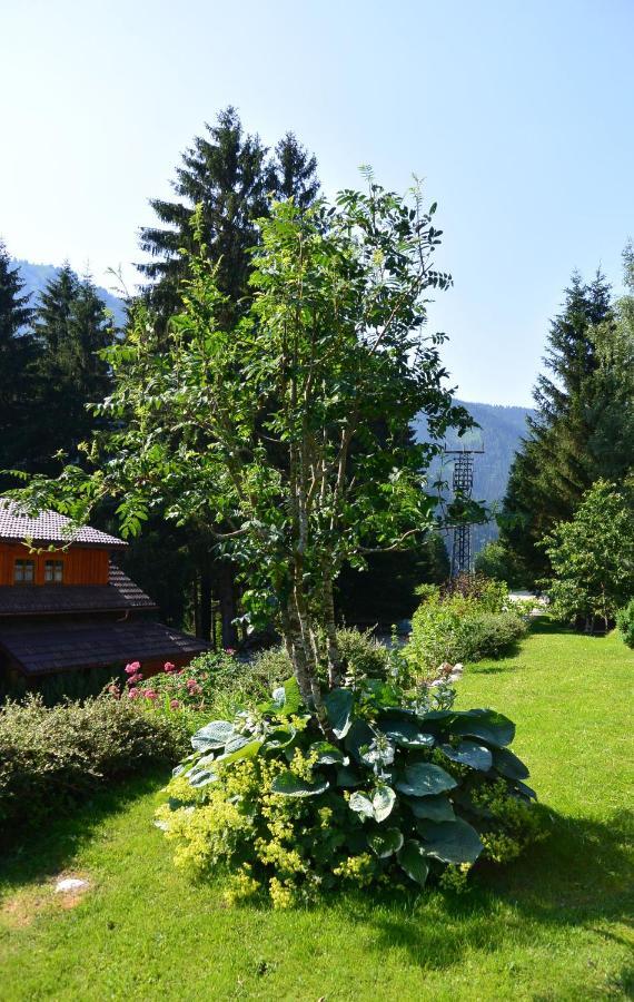 Die Kalsbergerin Ferienwohnung Fuer Geniesser Donnersbachwald Esterno foto